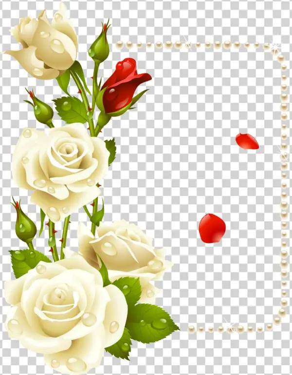 Flores