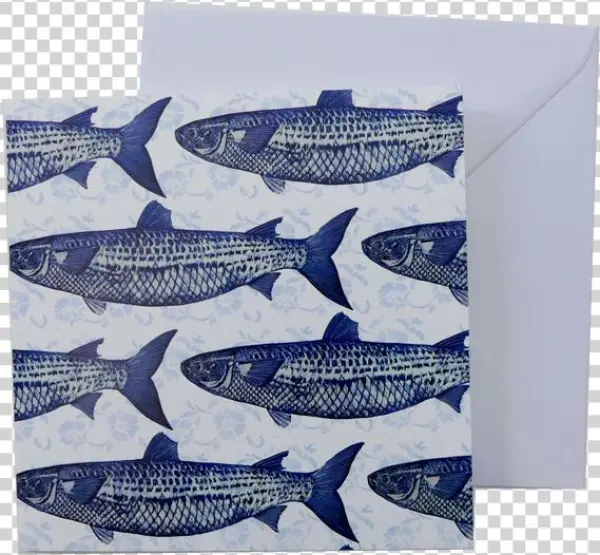 Greeting Card And Envelope Blue And White Fish Print
