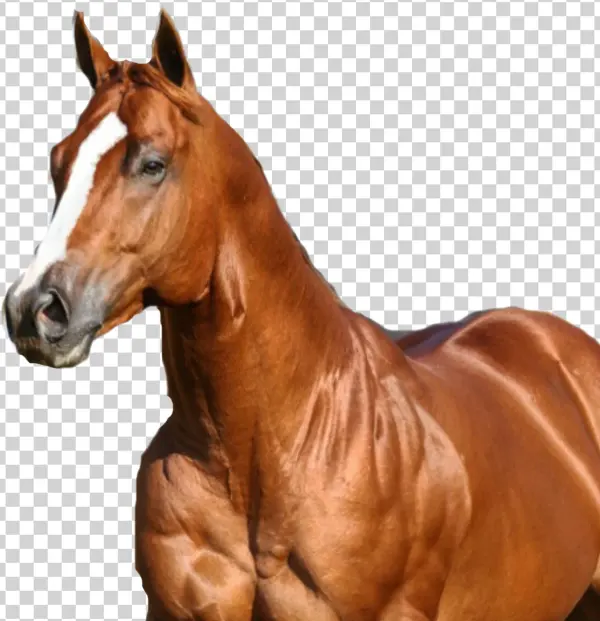 Iggy Azalea Png