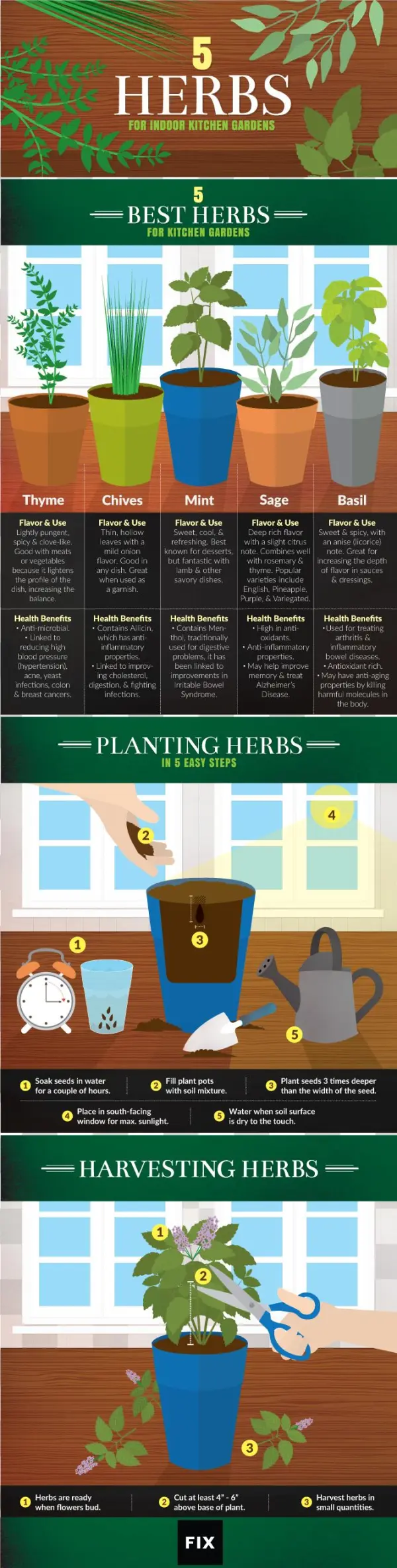 Outdoor Potted Plants Png