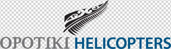 Providing Safe And Professional Helicopter Services