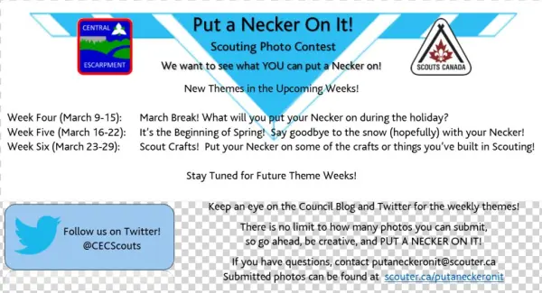 Theme Week Updates