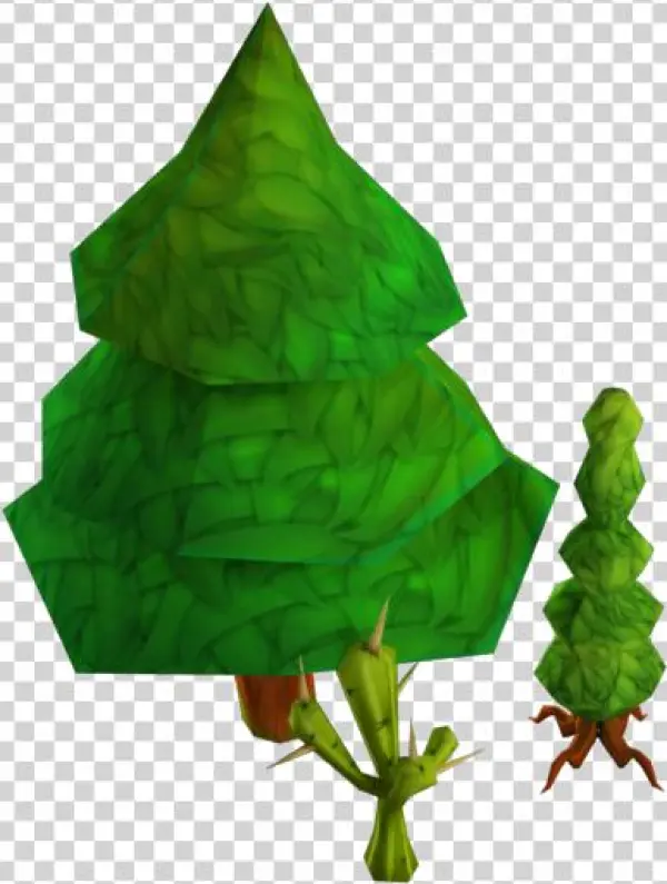 Vegetation