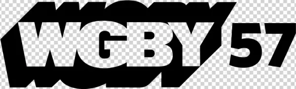 Wgby-dt Station Logo
