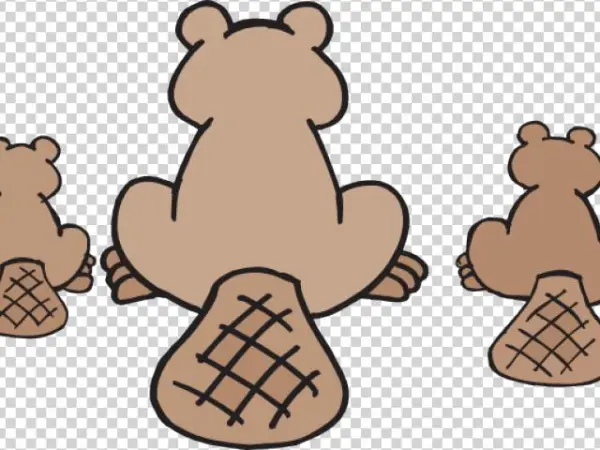 Beaver Png