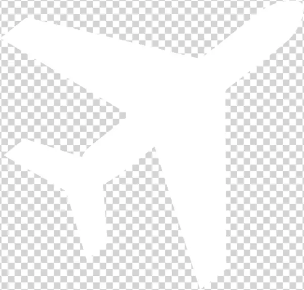 Book A Flight
