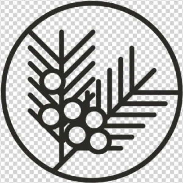 Icons 2000px Withpadding Gin