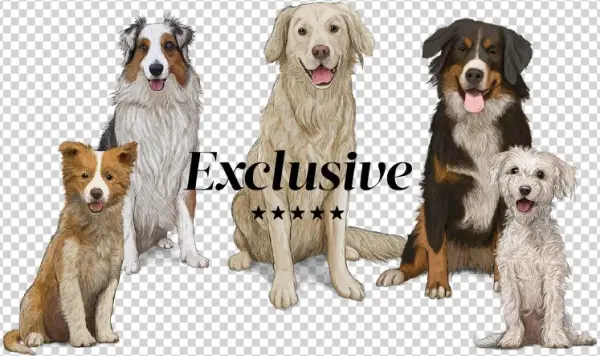 Perros Png