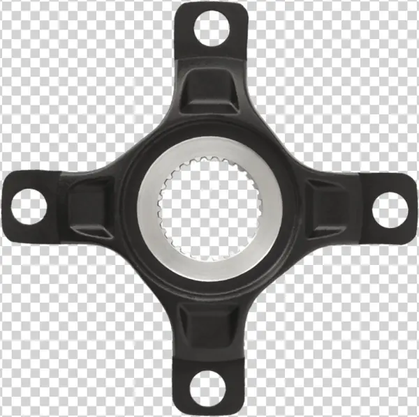 Spiders Png