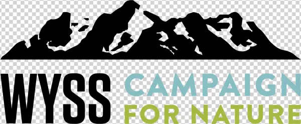 31, The Wyss Foundation Launched A $1 Billion Campaign