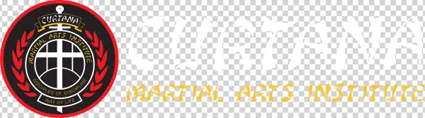 Art Institute Logo Png