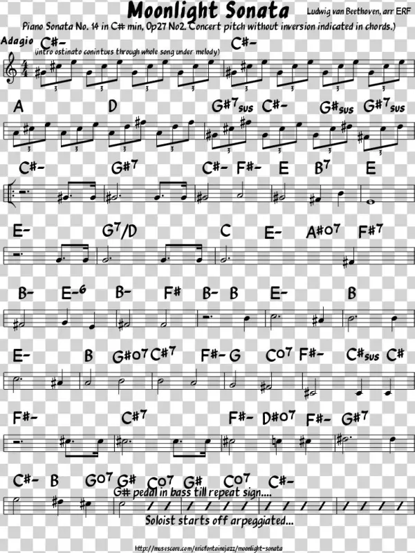 Beethoven Drawing Worksheet