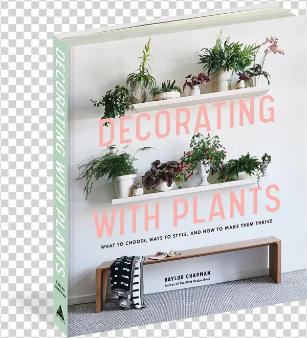 Hanging Plants Png