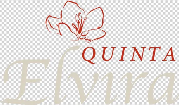 Hotel Boutique Quinta Elvira, Ubicado En Cuernavaca,