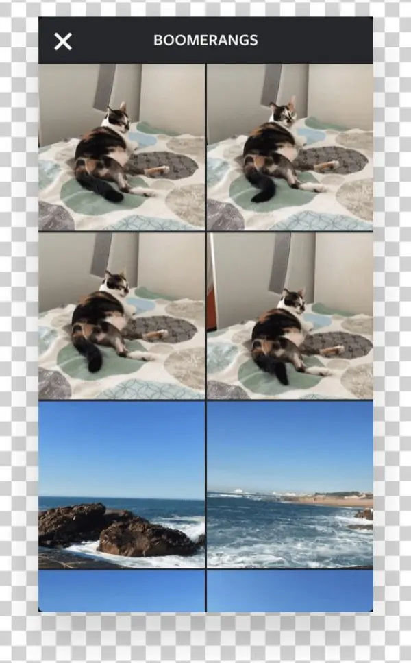 Instagram Video Tools Boomerang