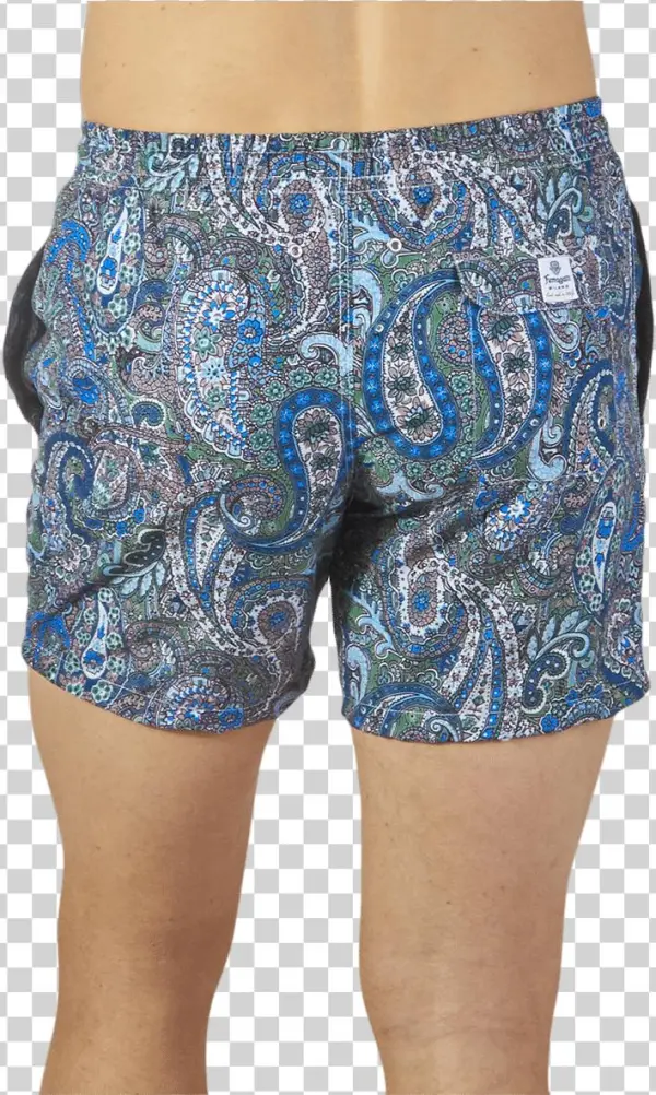 Paisley Png
