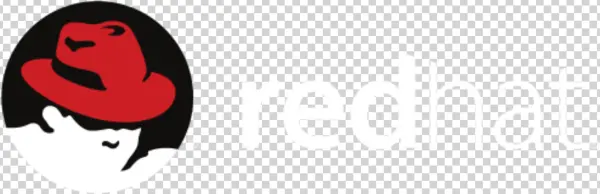 Red Hat Training Partner