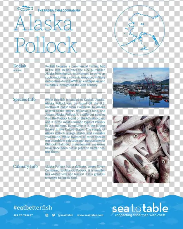 Sea2table Pollock
