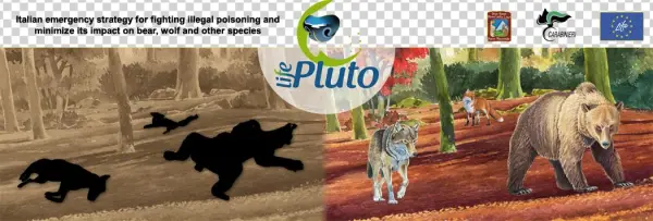 Vulture Png