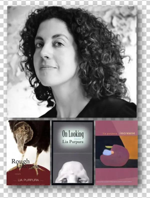 2016-2017 Visiting Writers