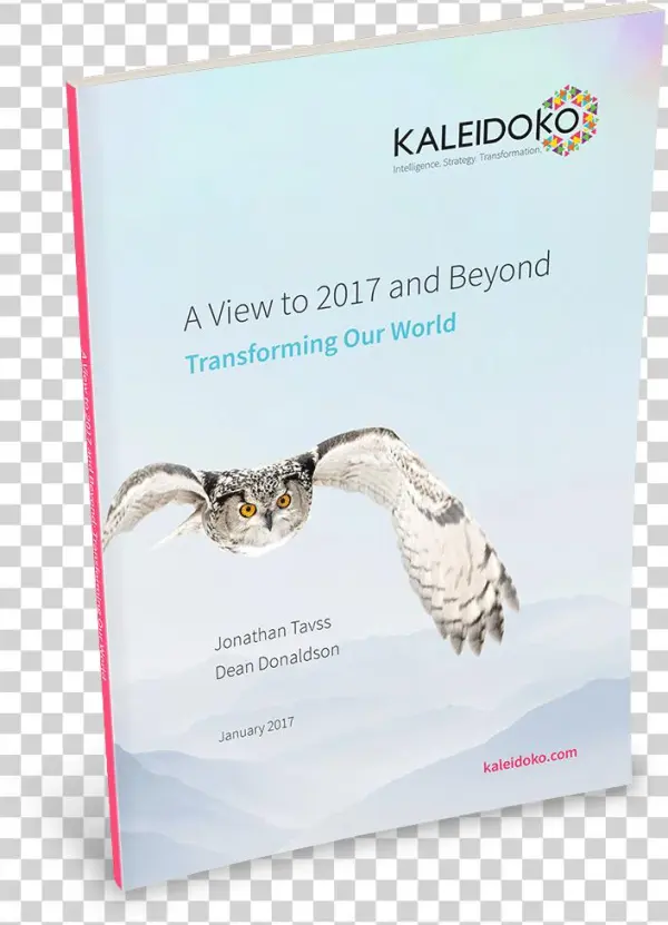 A View To 2017 And Beyond Cover
