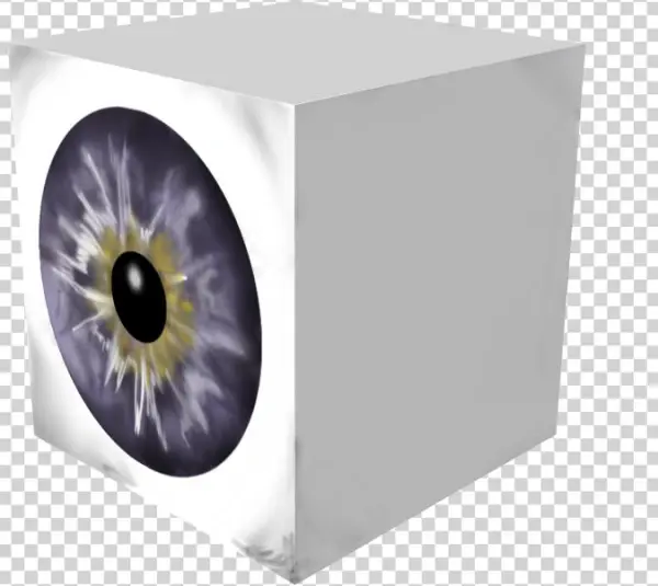 Eye
