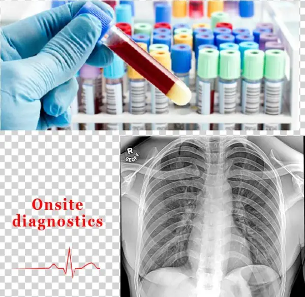 Onsite Services