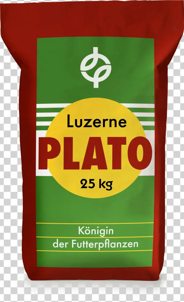 Plato