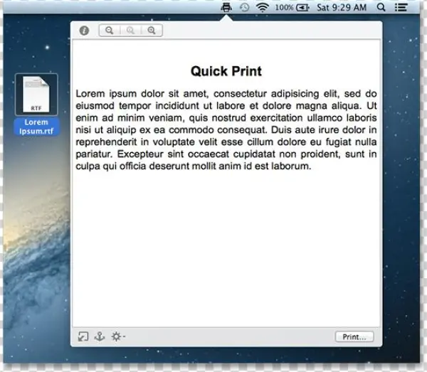 Quick Print Shows Text Files