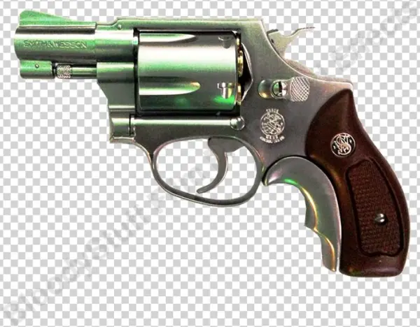 Smith & Wesson M60 Ladysmith