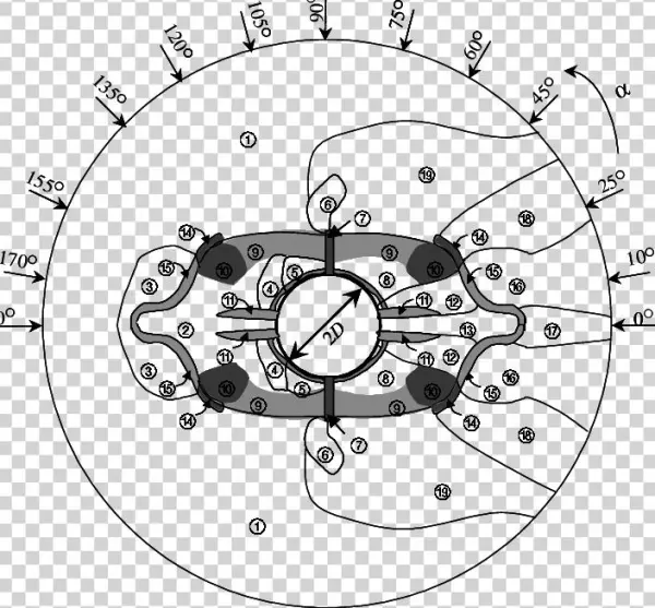 The Regions Marked By Shadows Are Multistable Flow