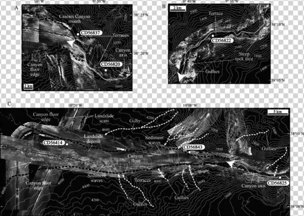 Tobi Side-scan Sonar Images And Superimposed Bathymetry