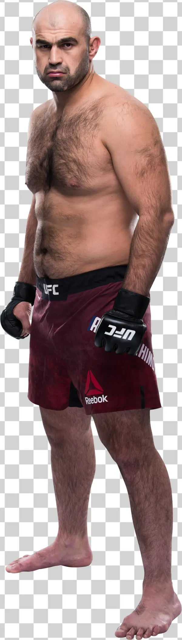 Ufc Belt Png