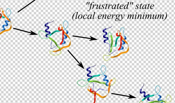 Your Mom Is Like A Protein Folding Intermediate
