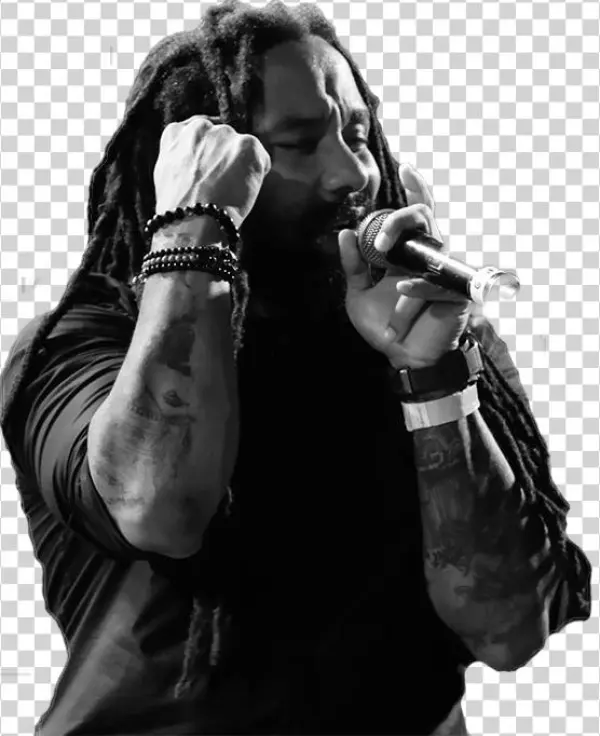 30 Sep Marley-png