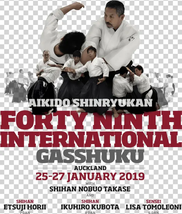Aikido Png