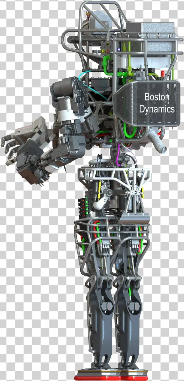 Atlas Back View