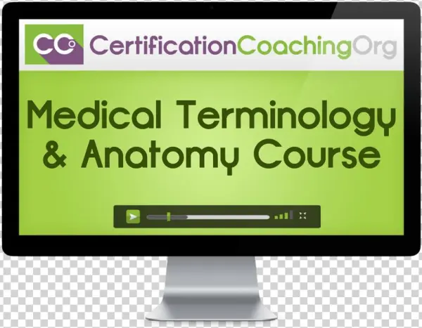 Medical Terminology & Anatomy Course