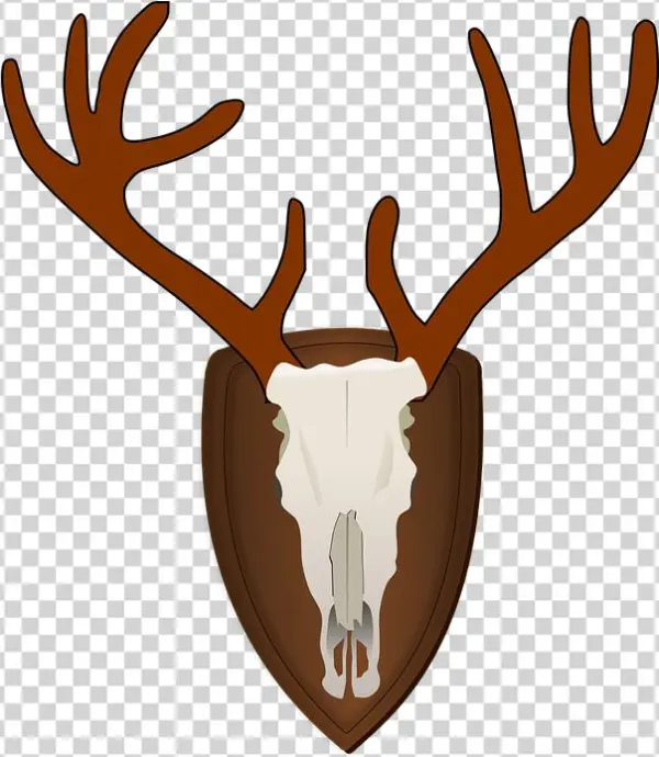 Stag Clipart Rusa