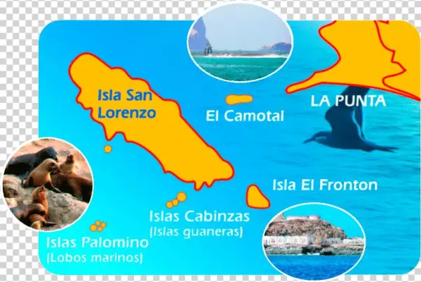 Tour En Yate A Islas Palomino