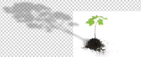 Tree Tree
