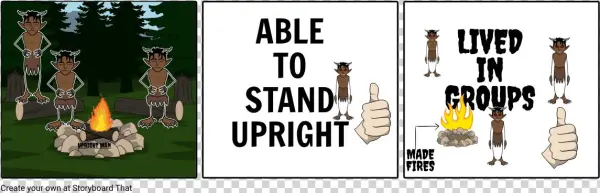Upright Man For Social Studies