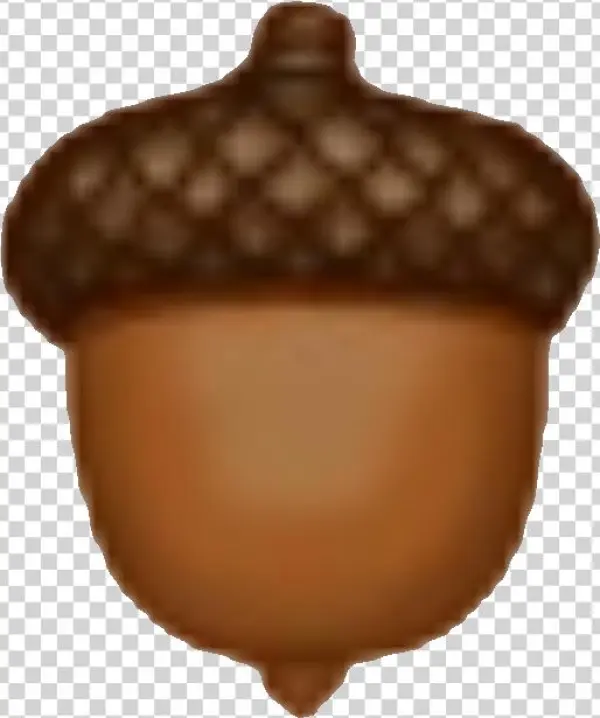 Acorn - Chocolate