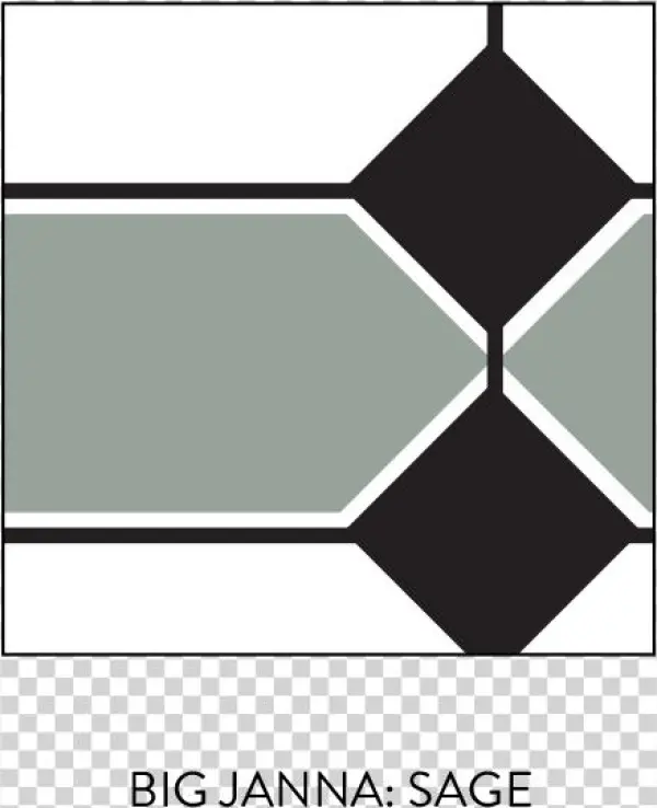 Bigjanna Sage - Parallel