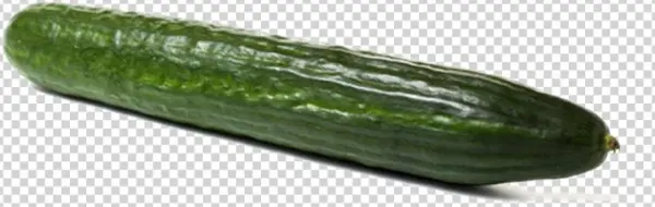 Category - Spreewald Gherkins
