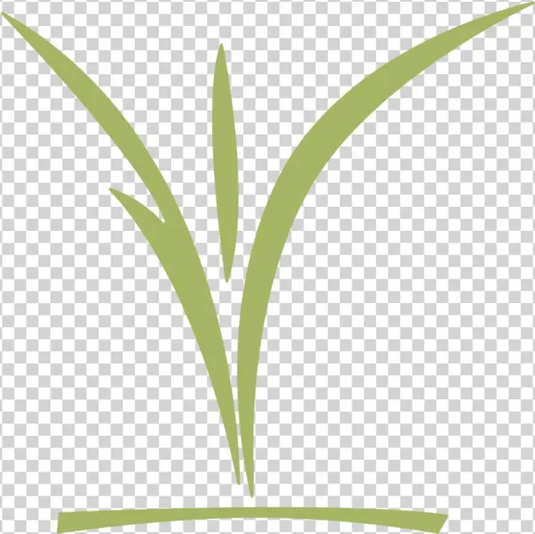 Ccc Childrens Logo Green - Grass