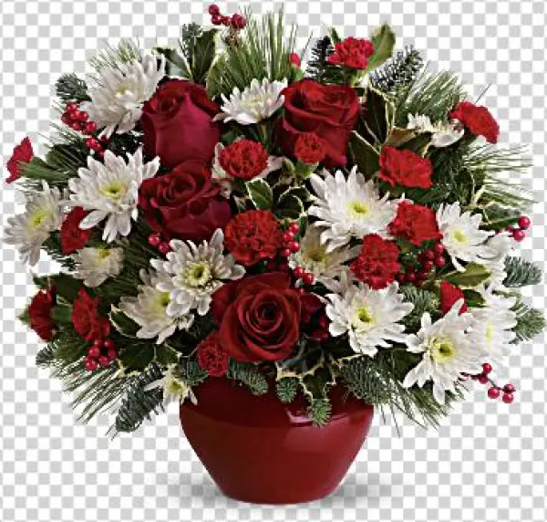 Christmas Flower Png