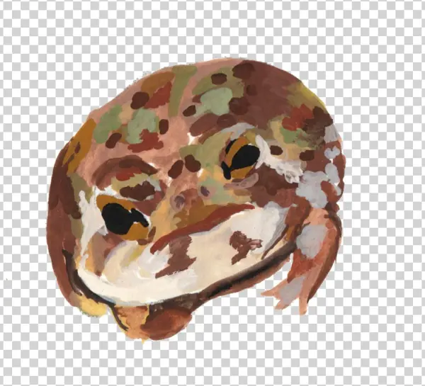Frogs6 - Palette