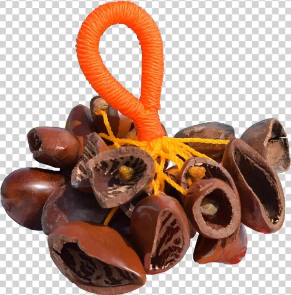 Juju Rattle Ghana - Chocolate