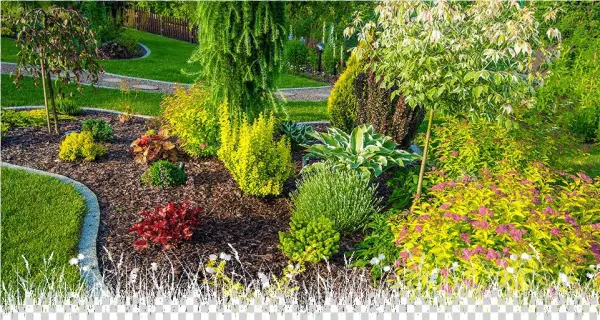 Overplanting